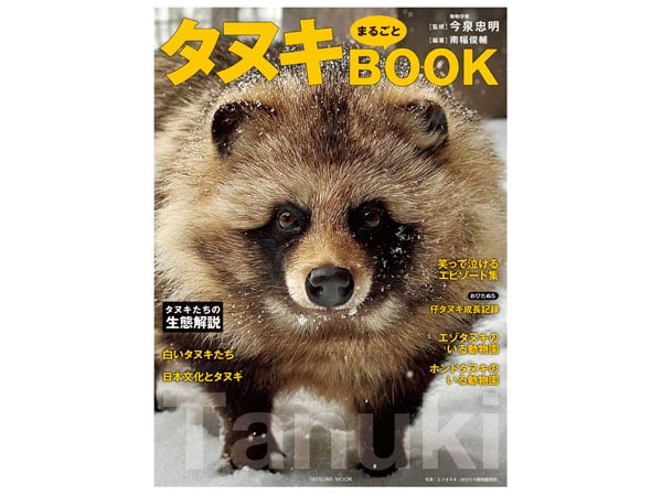 人気沸騰中?! 魅力や生態をまるごと解説した「タヌキまるごとBOOK」を3