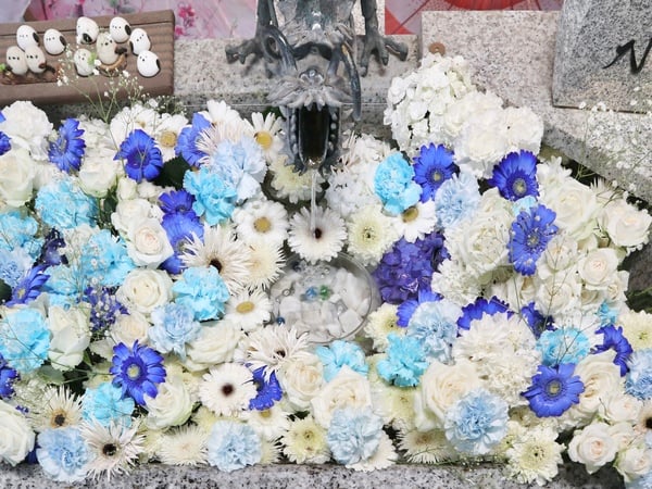 東区】夏色の花手水が涼を誘う「札幌諏訪神社」ひんやりスイーツも登場