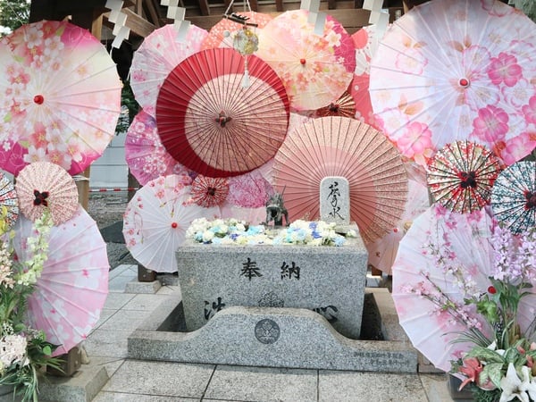 東区】夏色の花手水が涼を誘う「札幌諏訪神社」ひんやりスイーツも登場