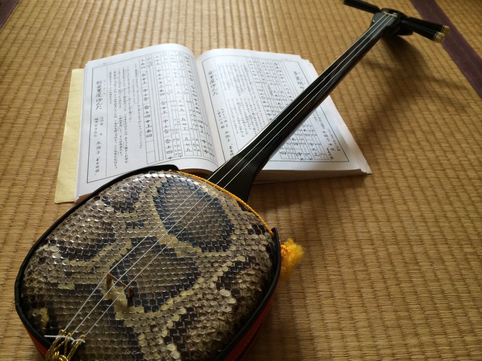 仙台】沖縄三線（さんしん ）金曜・経験者2クラス｜リビングカルチャー