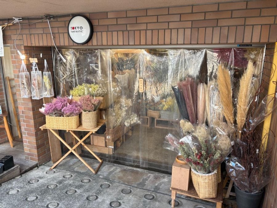 表参道で見つけた！色鮮やかなドライフラワー専門店「ティダフラワー